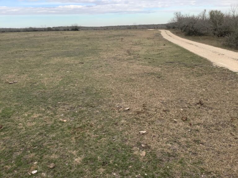 Top Pasture Winter