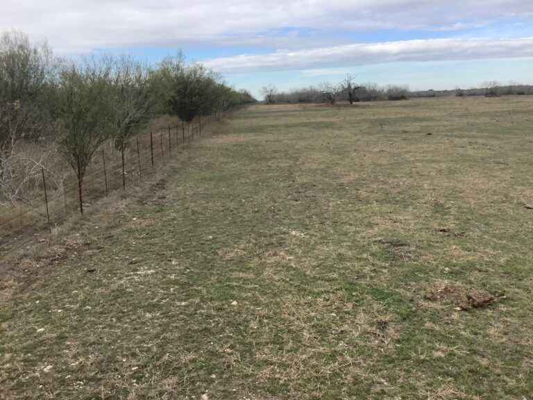 Top Pasture fenceline