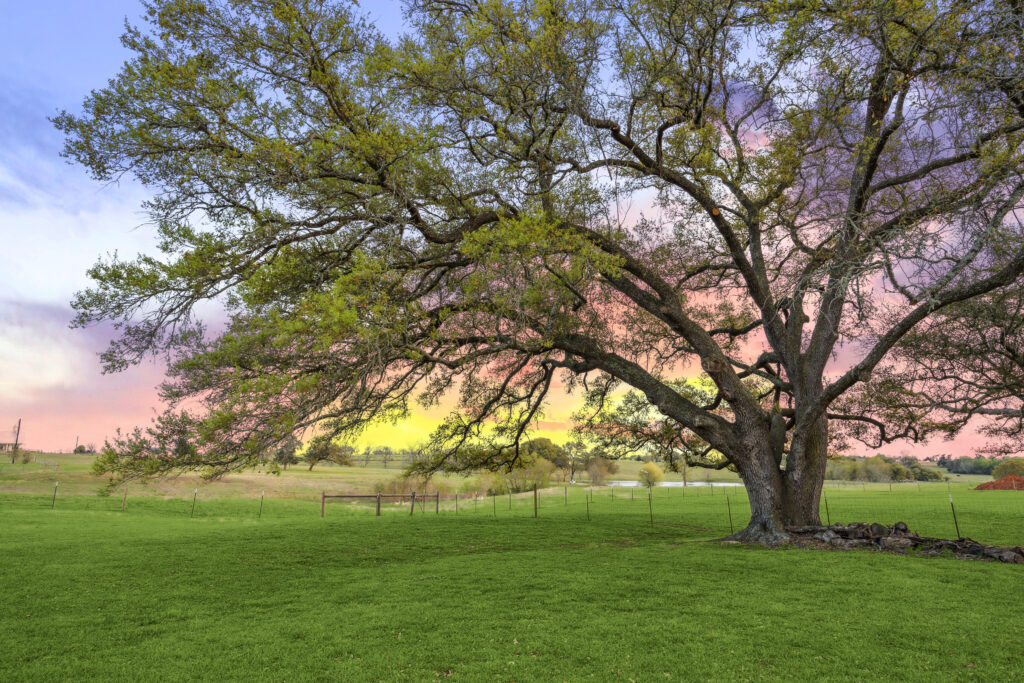 351 Pleasant Hill School Road Brenham, Texas 77833