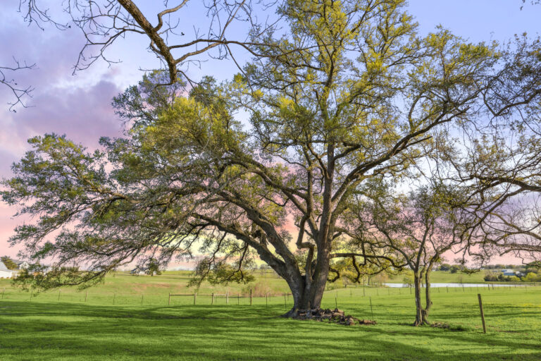 351 Pleasant Hill School Road Brenham, Texas 77833