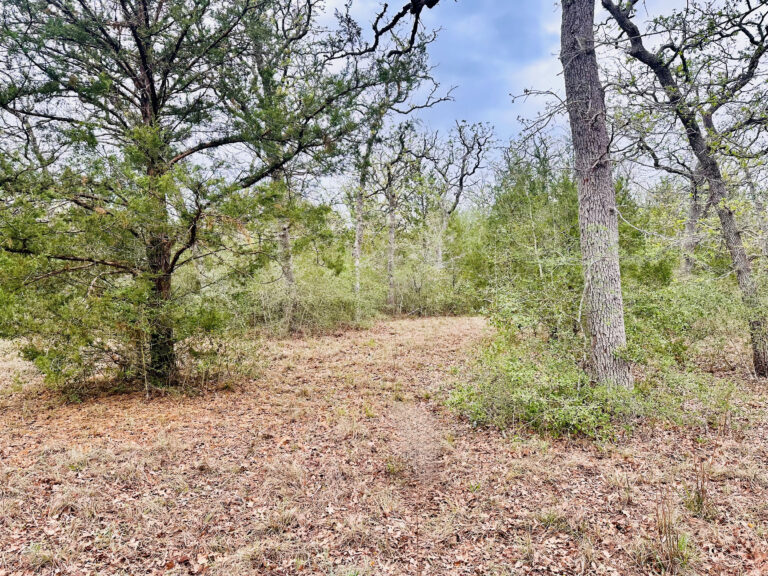 6088-Drive Path