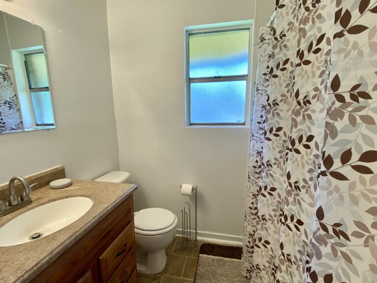Hall bath