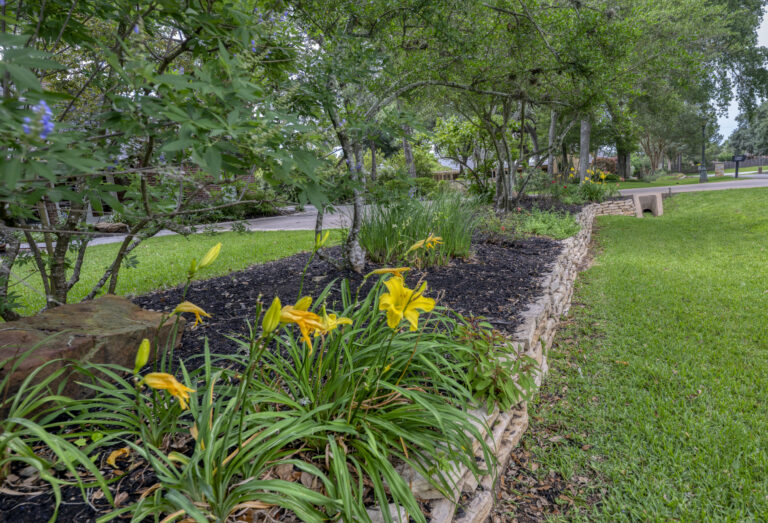 14-175-front-yard-landscape-2-INT