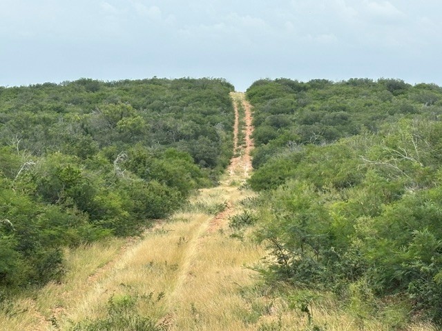 FM2207