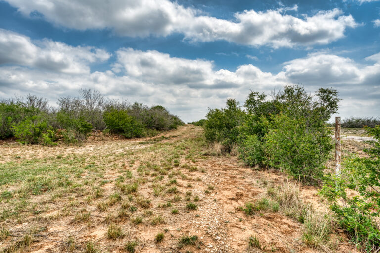 P3DDFW_Ranchito_Ground_040126_03