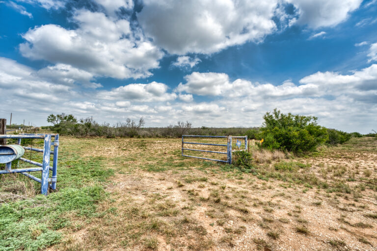 P3DDFW_Ranchito_Ground_040126_04