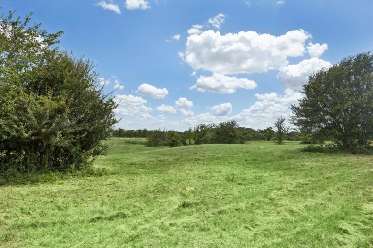 08-Nassau Rd N 1372 IMG 208