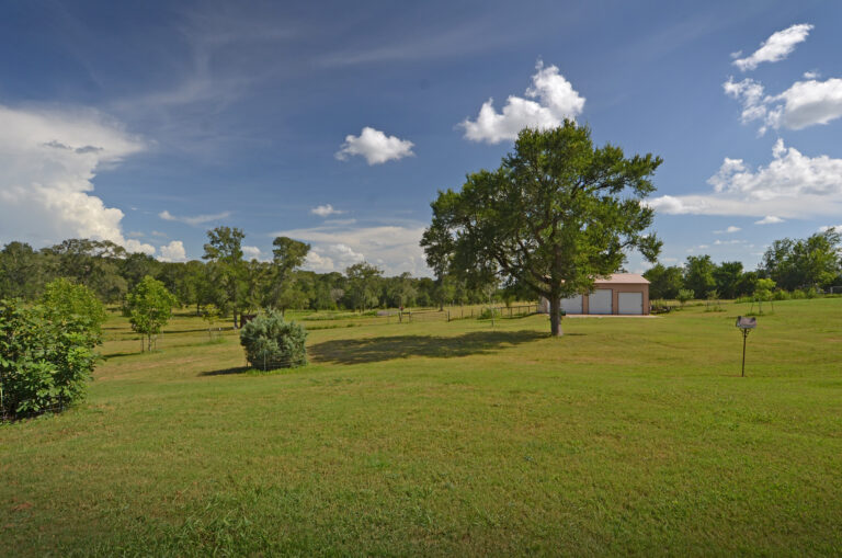 4271-BACK YARD1-INT