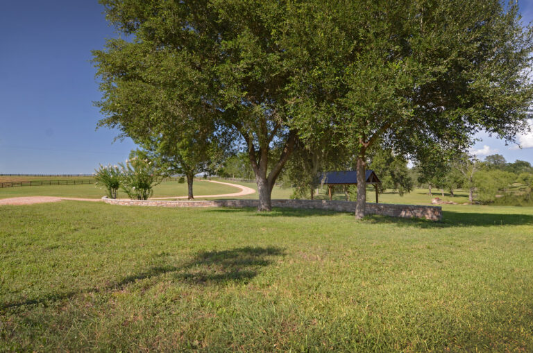 4271-FRONT YARD1-INT