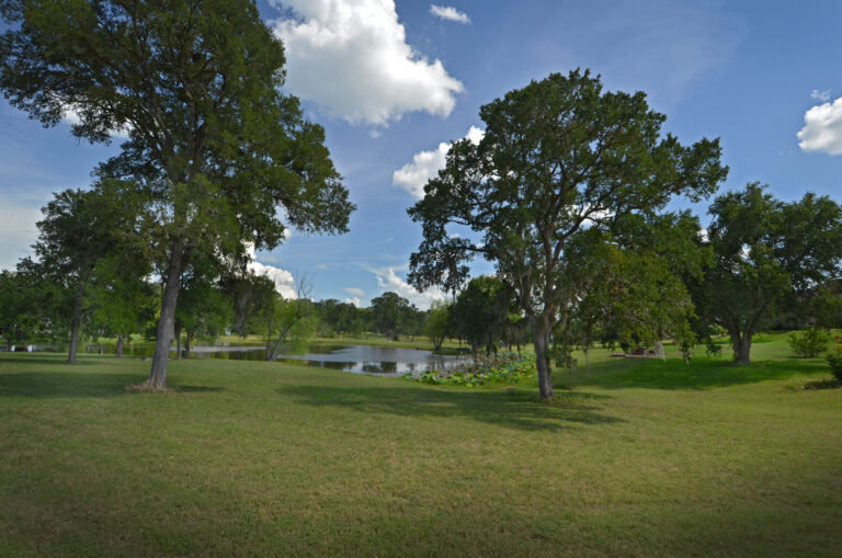 4271-POND & TREES-INT