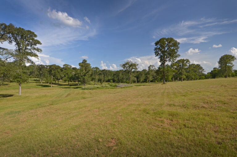 4271-PROPERTY2-INT