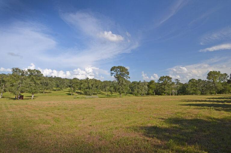 4271-PROPERTY3-INT