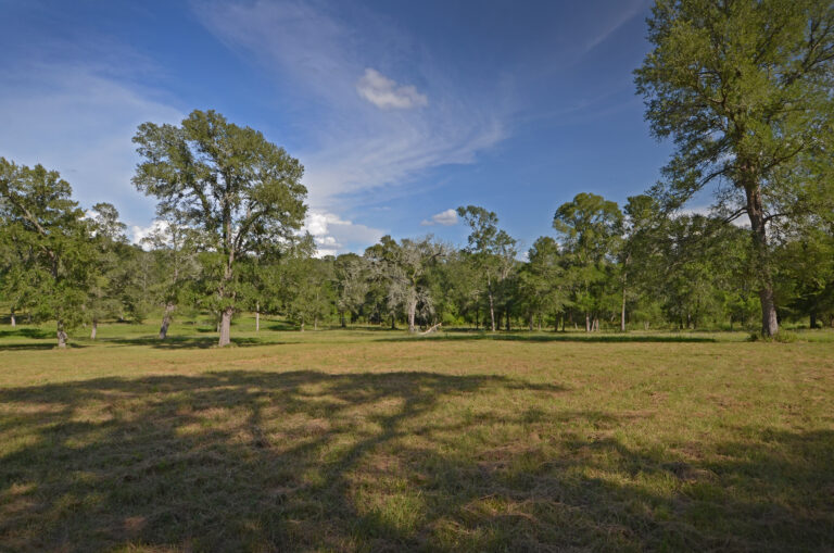 4271-PROPERTY4-INT