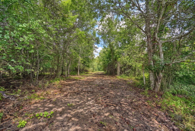 6099-Mid Path A-enhanced