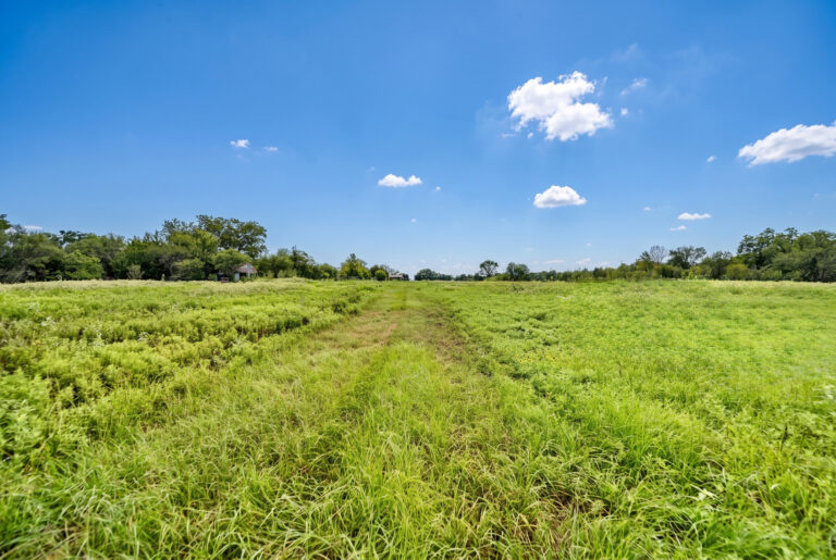 6099-South Clearing