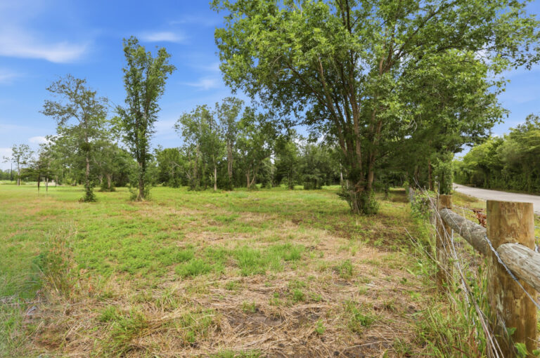 6100-Pasture