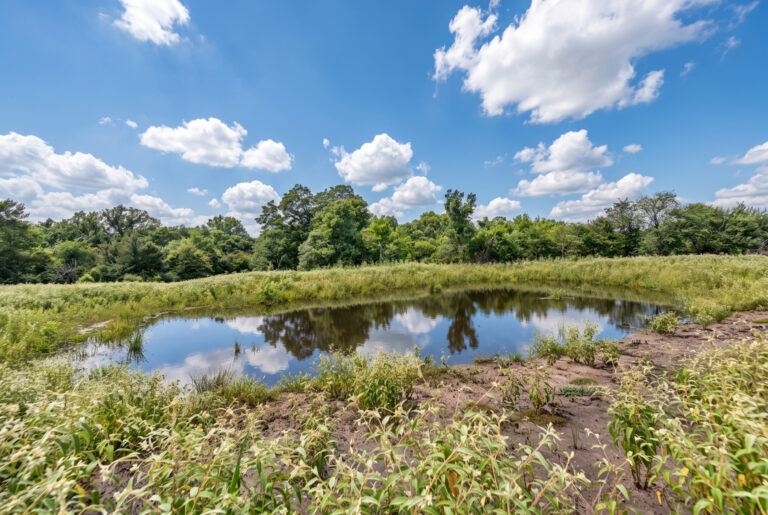 Mid Pond-enhanced-1784321145646-INT
