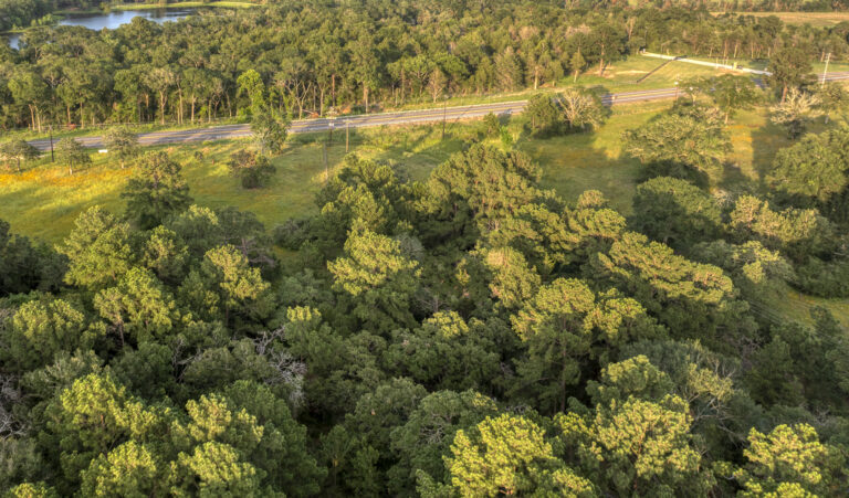 5425-trees-road-frontage-2