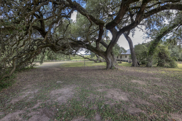 6101-liveoaks-trees-guest-house-2-INT