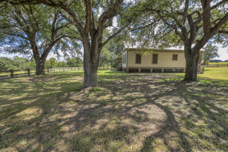 6101-trees-guest-house-1-INT