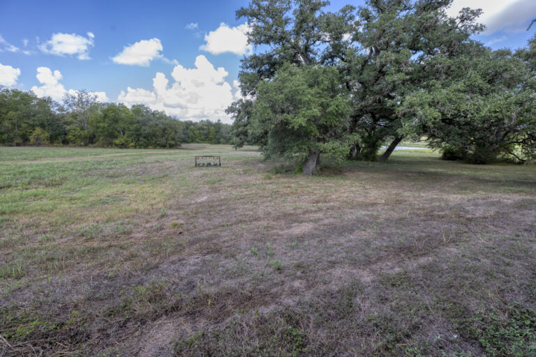 6101-trees-shooting-target-INT