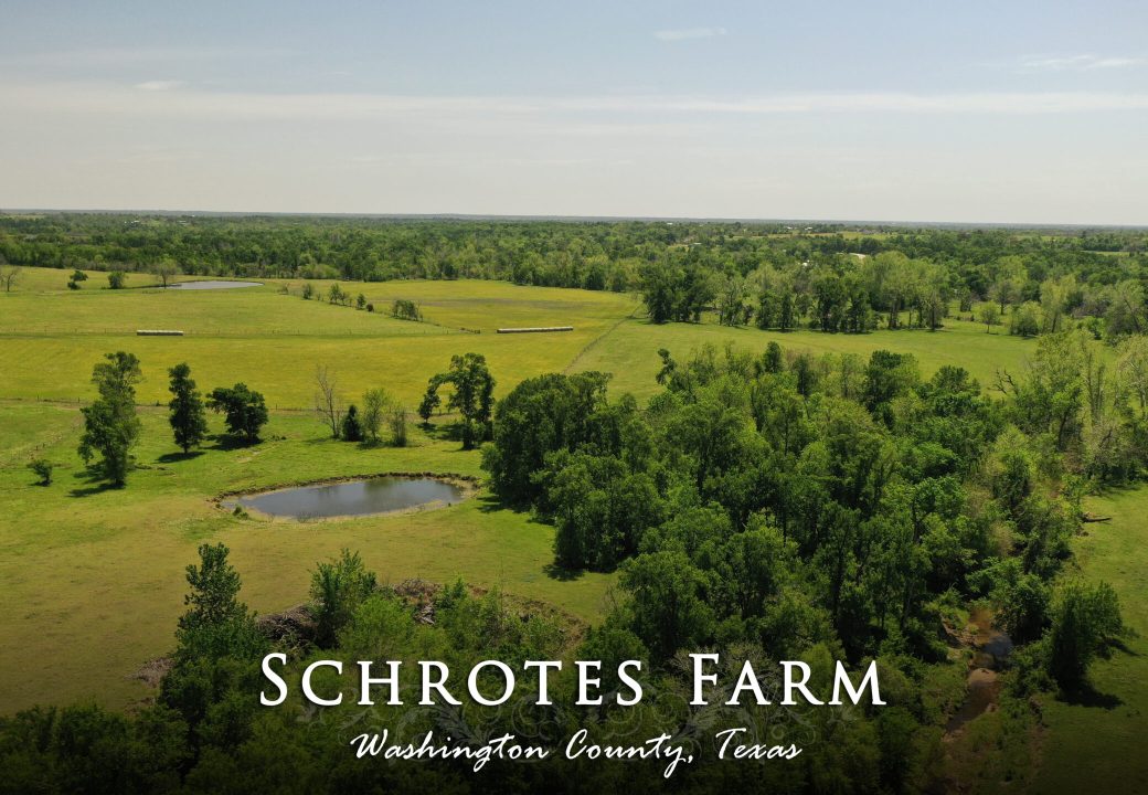 Schrotes Farm-19630 FM 1155