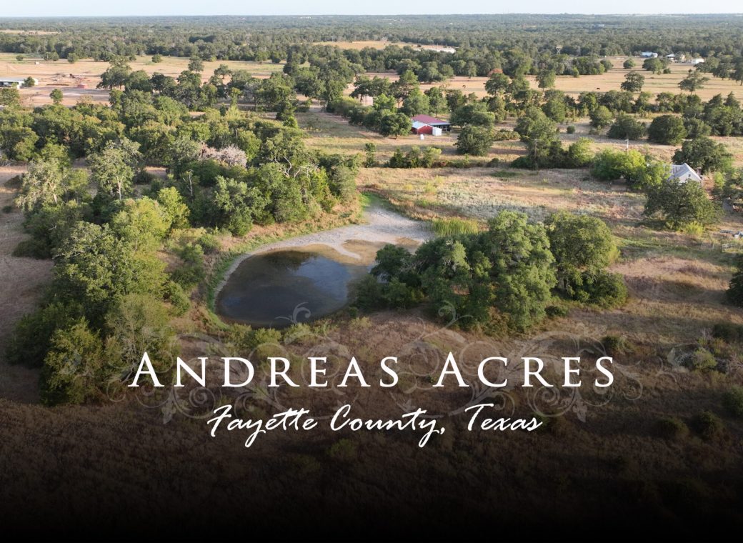 Andreas Road Round Top, Texas 78954