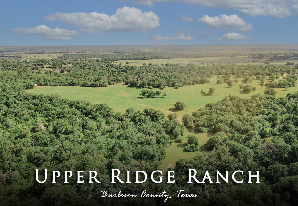 Upper Ridge Ranch- Folz St