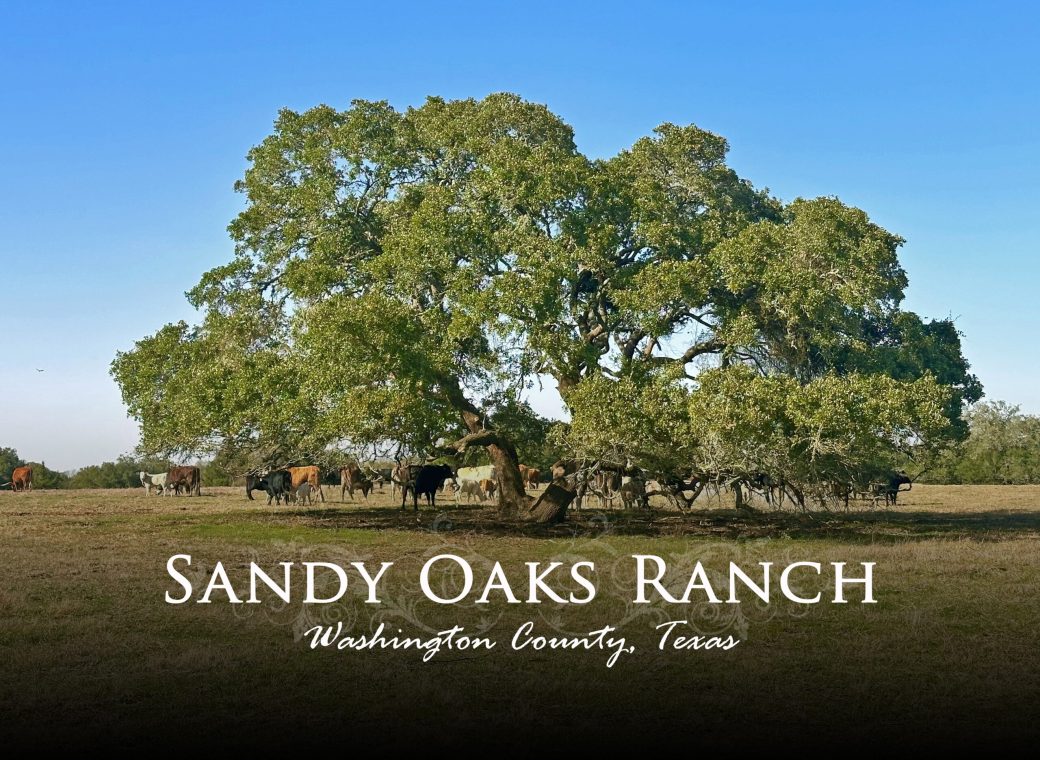 William Penn Road Brenham, Texas 77833